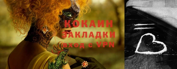 дмт Вяземский