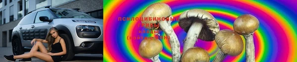 ECSTASY Вязники