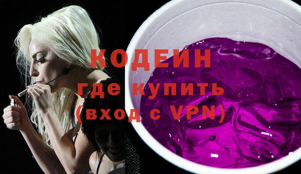 дмт Вяземский