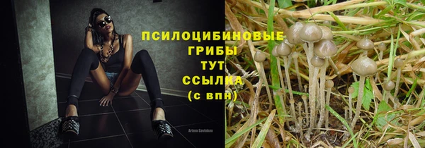 дмт Вяземский