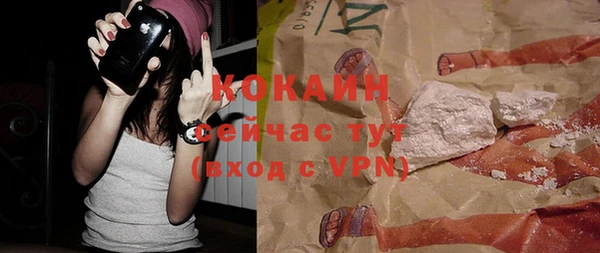 дмт Вяземский