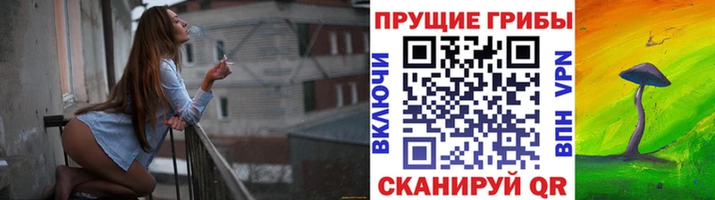 Галлюциногенные грибы прущие грибы  Купить  Великий Новгород 